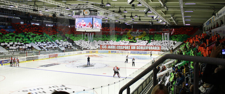 Fans im Curt-Frenzel-Stadion, Augsburg, bei einer Choreographie